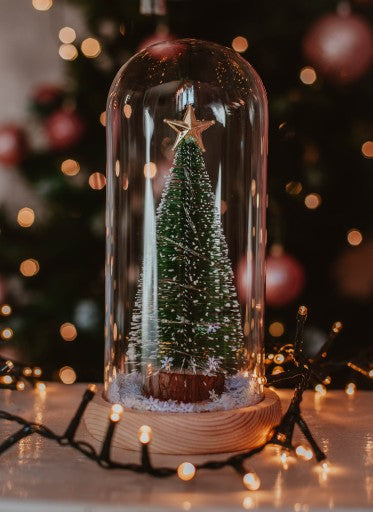 KALĖDŲ EGLĖ STIKLE| LED KALĖDŲ DOVANA