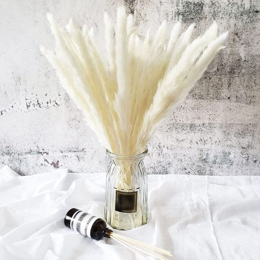 PAMPAS SMILGOS – BALTOS