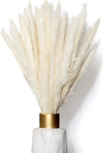 PAMPAS SMILGOS – BALTOS